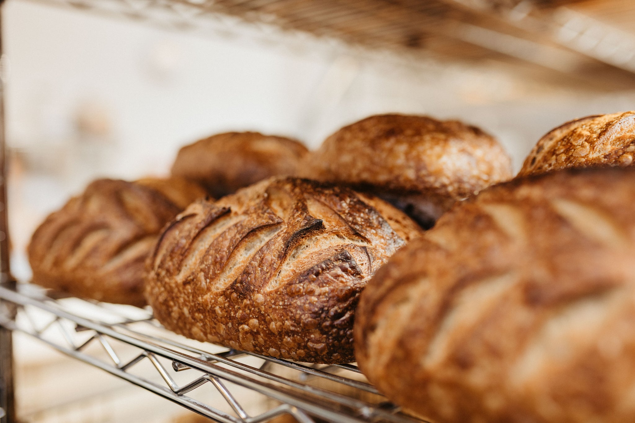 Sourdough Country Loaf